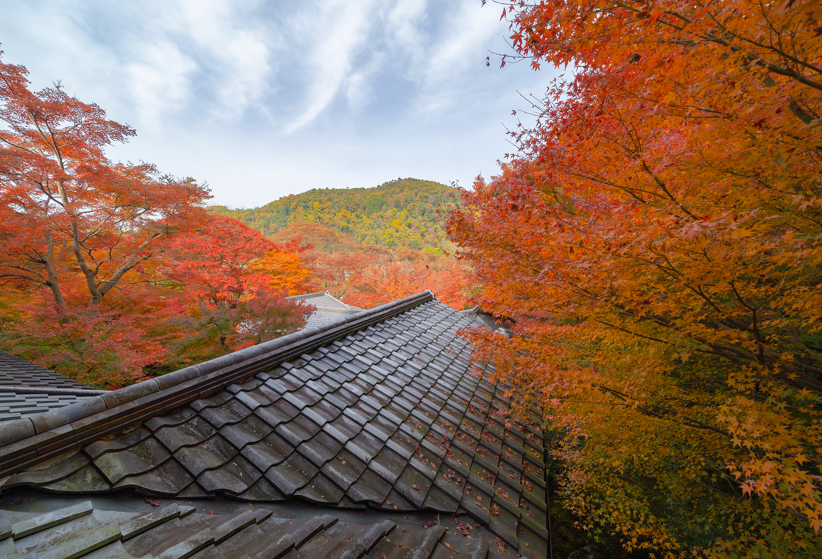 Seasonal Maintenance Packages