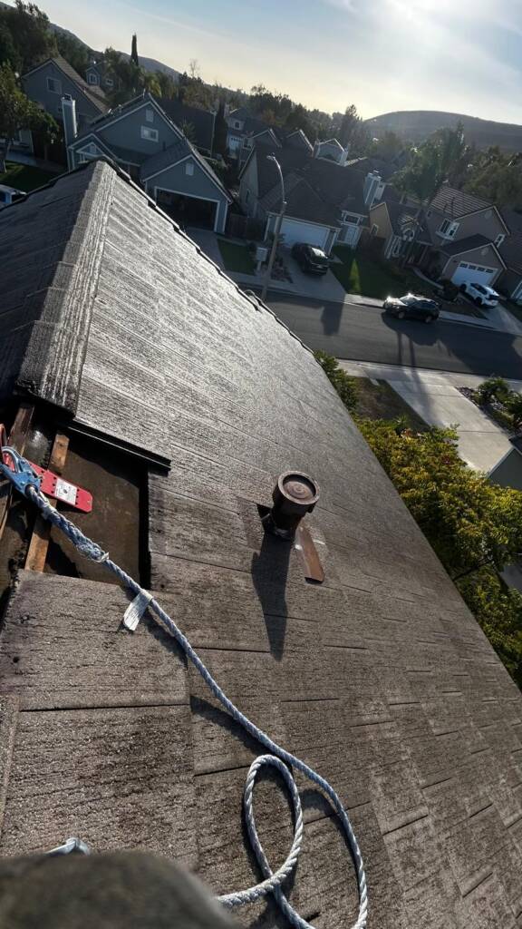 WhatsApp Image 2025-03-04 at 7.26.39 PM (3)