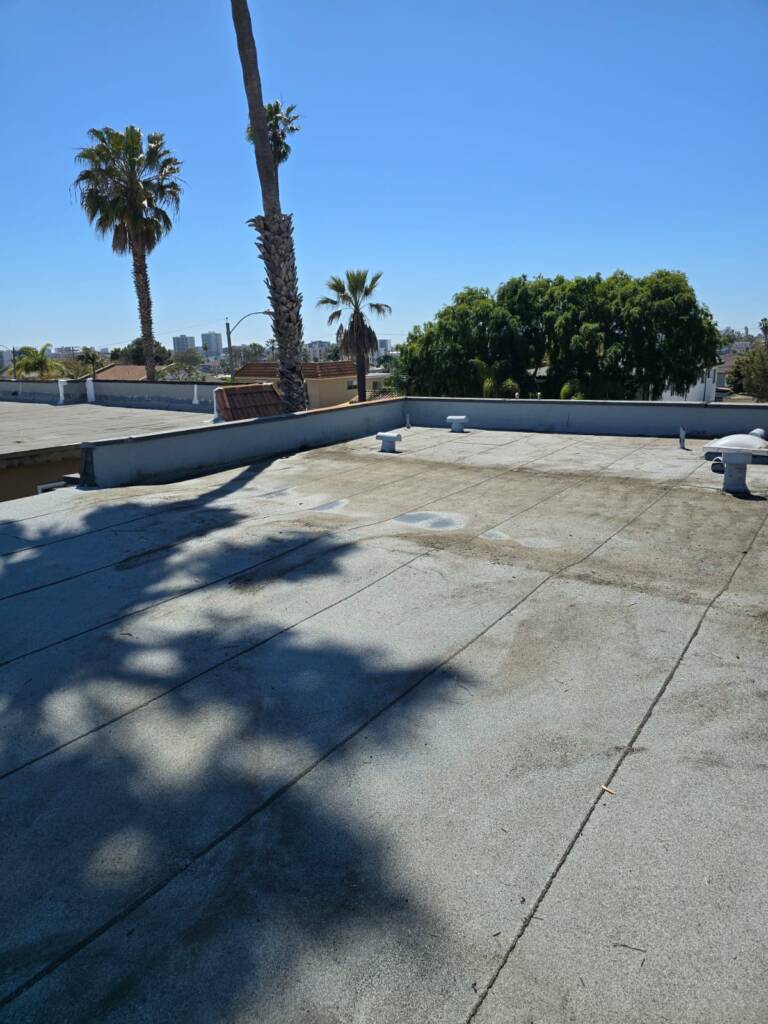 WhatsApp Image 2025-03-04 at 7.26.39 PM (5)